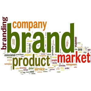 best brand marketing company in noida,greater noida & delhi ncr